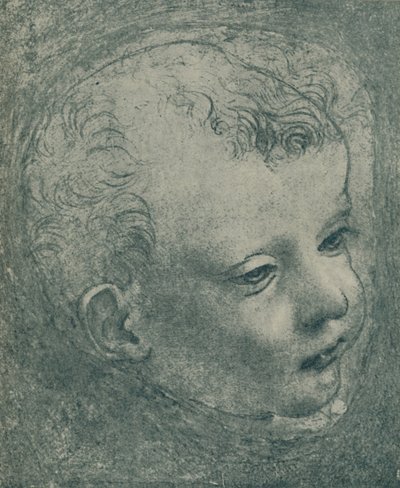 チャイルズヘッドの研究、1482-1483、1932 作： Leonardo da Vinci