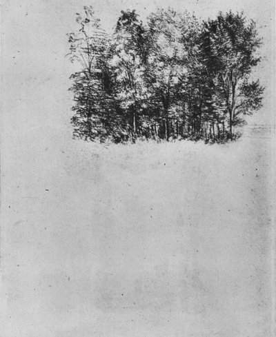 Coppiceの研究、c1480 1945 作： Leonardo da Vinci