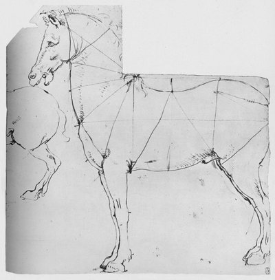 測定用にマークされた馬の研究、c1480 1945 作： Leonardo da Vinci