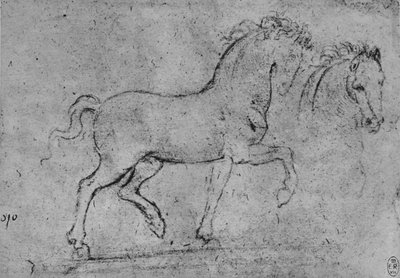 馬と馬の頭の研究、c1480 1945 作： Leonardo da Vinci