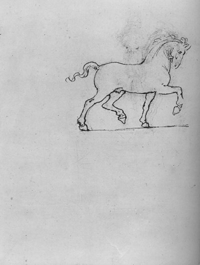 馬の研究、c1480 1945 作： Leonardo da Vinci