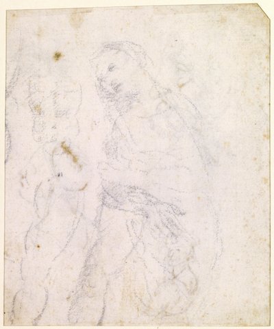  作： Leonardo da Vinci