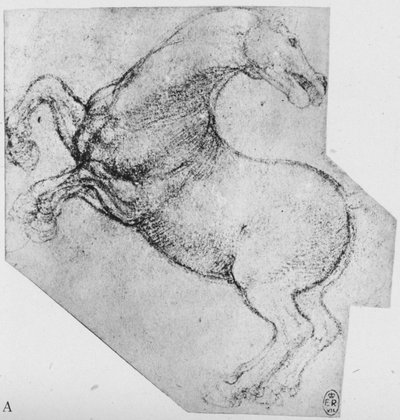 飼育馬の研究、c1480 1945 作： Leonardo da Vinci