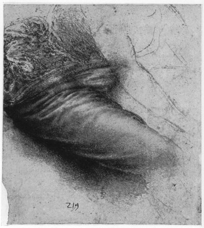 セントアンの衣服の研究、1503-1517、1954年 作： Leonardo da Vinci