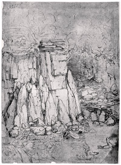 アヒルと岩の洞窟の研究、1482-1485 1954 作： Leonardo da Vinci