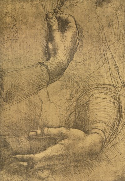 女性の手の研究、c1472-c1519 1883 作： Leonardo da Vinci
