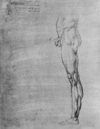 人の体と脚の研究、c1480 1945 作： Leonardo da Vinci