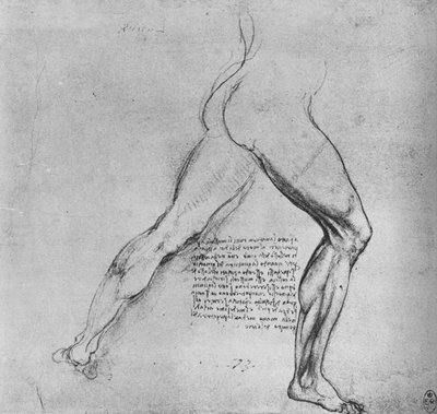 右に突き出した男の脚の研究、c1480 1945 作： Leonardo da Vinci