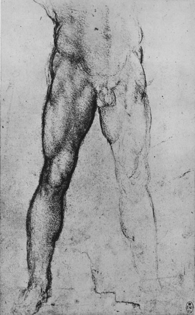 正面を向いたヌード男の下半身の研究、c1480 1945 作： Leonardo da Vinci
