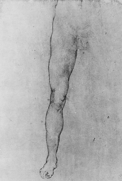 正面を向いた裸の男性の下半分の研究、c1480 1945 作： Leonardo da Vinci