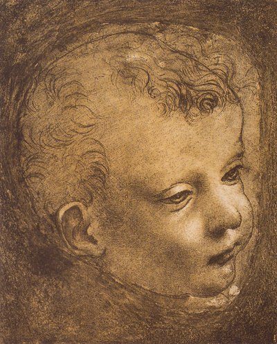 岩の聖母のための聖ヨハネの幼児の顔の研究。レオナルド・ダ・ヴィンチの絵。ルーブル美術館、パリ 作： Leonardo da Vinci