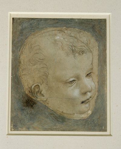 子供の頭が4分の3右... 作： レオナルド・ダ・ヴィンチ
