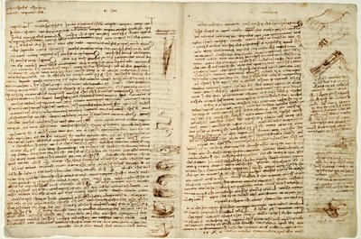 コーデックスハンマーまたはコーデックスレスター、1508-12 作： Leonardo da Vinci