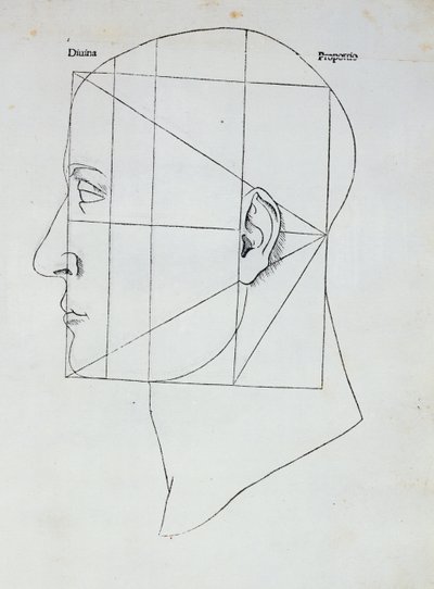 人間の頭、ルカパチョーリ作「Divina Proportione」のイラスト（1445-1517）、1509 作： Leonardo da Vinci