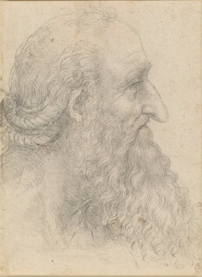 ひげを生やした老人の頭、1517年頃。 作： Leonardo da Vinci
