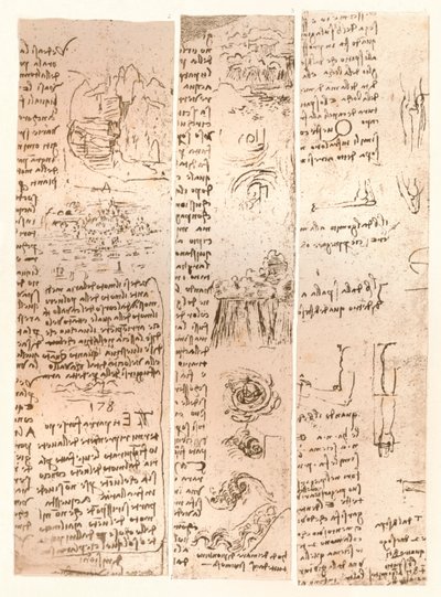 3つの図面、c1472-c1519 1883 作： Leonardo da Vinci
