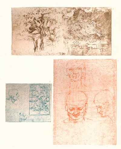 3つの図面、c1472-c1519 1883 作： Leonardo da Vinci
