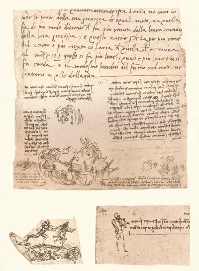 3つの図面、c1472-c1519 1883 作： Leonardo da Vinci