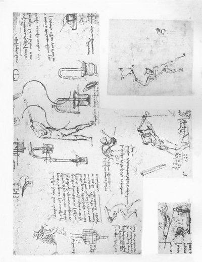 人間の体の動きの理論を説明する3つの図、c1472-c1519 1883 作： Leonardo da Vinci