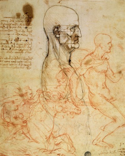 横顔の男の胴体、比例のために頭を二乗したもの、2人の騎士のスケッチ、c.1490とc.1504（紙の上にペン先とインクと赤いチョークでメタポイントを描いたもの） 作： Leonardo da Vinci