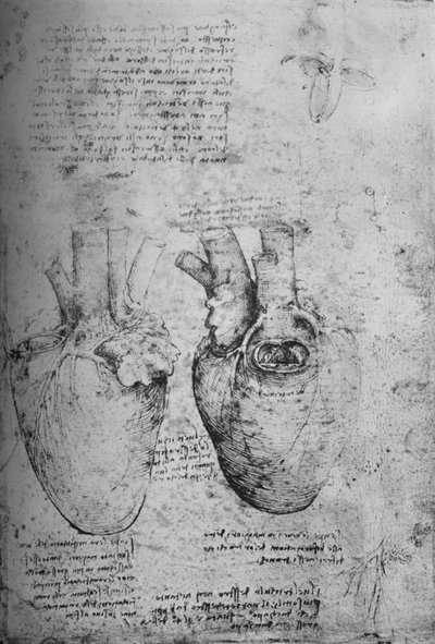 心の二つの絵、c1480 1945 作： Leonardo da Vinci
