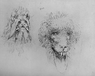 モンスターの2つの頭、c1480 1945 作： Leonardo da Vinci