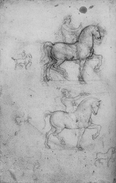 馬と乗馬に関する2つの研究と馬に関する小規模な研究、c1480 1945 作： Leonardo da Vinci