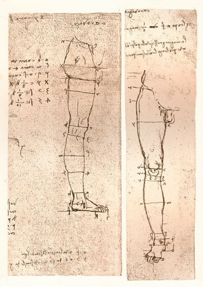 人物の比率の理論を説明する2つの図、c1472-c1519 1883 作： Leonardo da Vinci