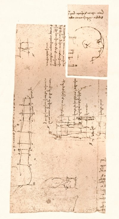 人物の比率の理論を説明する2つの図、c1472-c1519 1883 作： Leonardo da Vinci