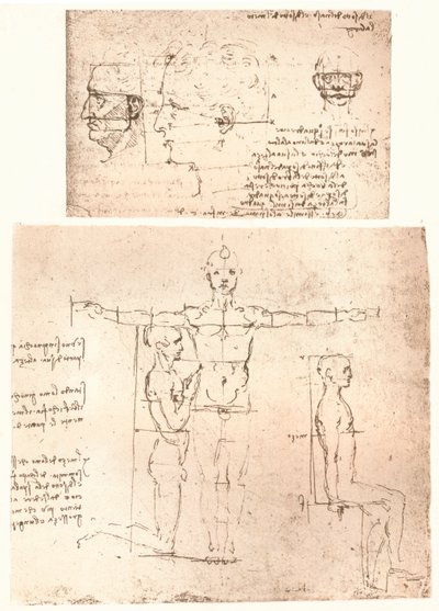 人物の比率の理論を説明する2つの図、c1472-c1519 1883。 作： Leonardo da Vinci