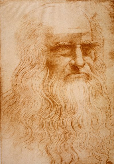 不明な画像 作： Leonardo da Vinci