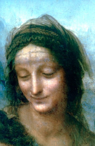 聖母子の詳細を持つ聖母子、1502-1516 作： Leonardo da Vinci
