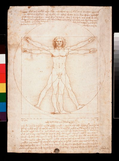 ヴィトルヴィアン・マン 作： Leonardo da Vinci