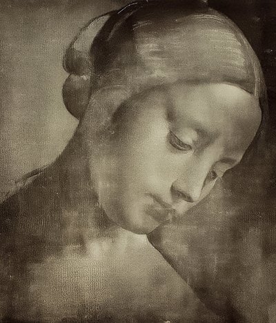 女性の頭。約1470-1519 作： Leonardo da Vinci