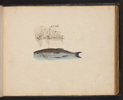 「水鳥、魚類、四つ足の獣、昆虫、ミミズの正確な自然描写と線引きで、ストラスバーグ [ストラスブール] の水域で発見され、私自身が撮影して処理しました。レナード・ボールドナー、ストラスバーグの漁師と市民 "、c 作： Leonhard Baldner