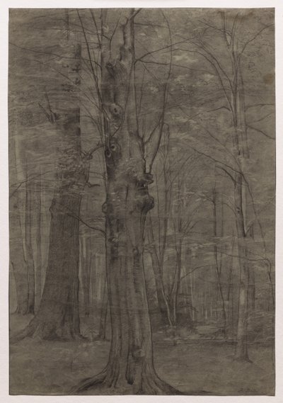 木。 作： Leopold Bode