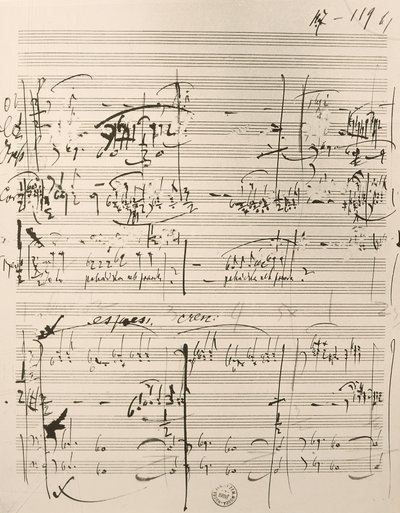 ミュージカル「The Cunning Little Vixen」の楽譜（紙にインク 作： Leos Janacek