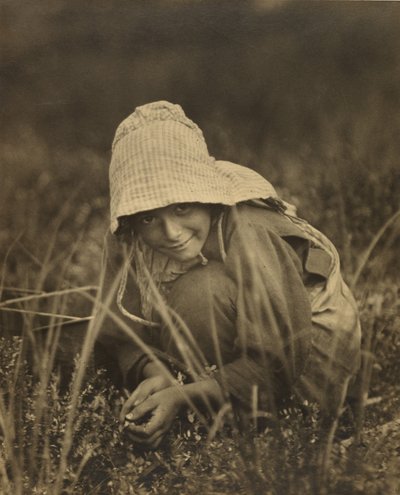 クランベリー摘み（ニュージャージー州 作： Lewis W. Hine