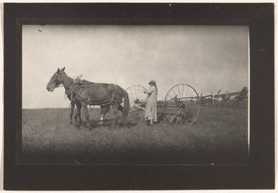 [ファームシーン、マサチューセッツ]。 作： Lewis W. Hine