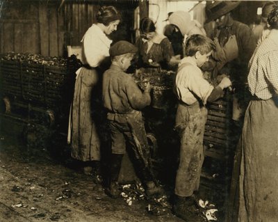 1913年、サウスカロライナ州ブラフトンのVarn und Platt Canning Co.で7ポットを打った3年間（1日6ポット）を打った10歳のジミー 作： Lewis Wickes Hine