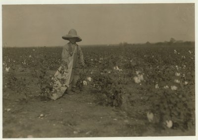 1913年、テキサス州ウエスト近くの両親の80エーカーの農場で、5歳のウィリーヘッセは1日に15ポンドの綿を収穫します。 作： Lewis Wickes Hine