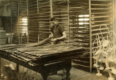 ボストン・フローラル・サプライ・カンパニーでサイカスの葉を選別する15歳の少年 作： Lewis Wickes Hine