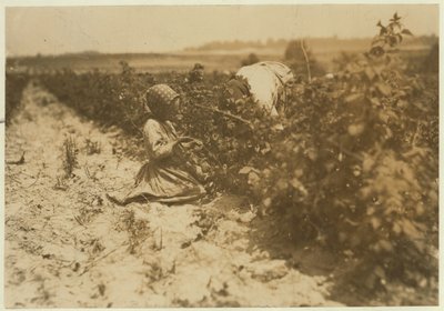 1909年、メリーランド州ボルチモア近くのロッククリークで家族（ショルツ）と一緒に一日中果実を摘んでいた6歳のポーランド人少女 作： Lewis Wickes Hine