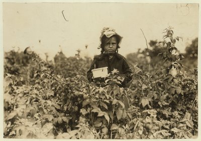 メリーランド州ボルチモアの近くの畑で果実を摘むアニービッシー、1909年 作： Lewis Wickes Hine