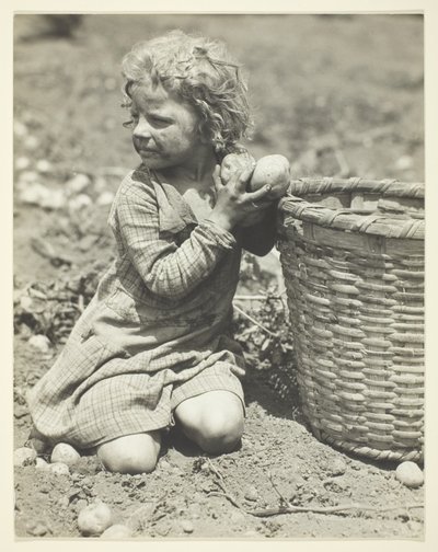 農場での児童労働 作： Lewis Wickes Hine