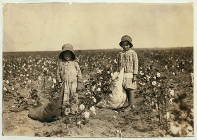 ジュエルとハロルドウォーカー、6歳と5歳、1916年、コマンチ郡オクラホマ州ジェロニモで1日に20〜25ポンドの綿を選ぶ 作： Lewis Wickes Hine