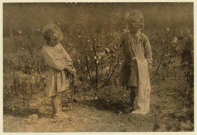 4歳のミリーは1日8ポンドの綿を選び、ネリー5は1913年、テキサス州ヒューストンの近くの農場で30を選びます。 作： Lewis Wickes Hine