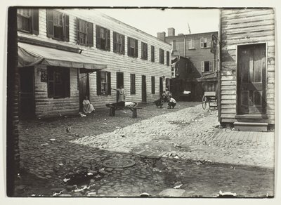 ワシントンD.C.、白人を収容するニグロ・アレイ 作： Lewis Wickes Hine