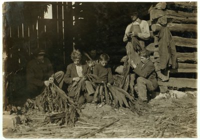 1916年、ケンタッキー州ロックフィールドのウォレン郡で、12歳、14歳、17歳のJSバーチの息子たち 作： Lewis Wickes Hine