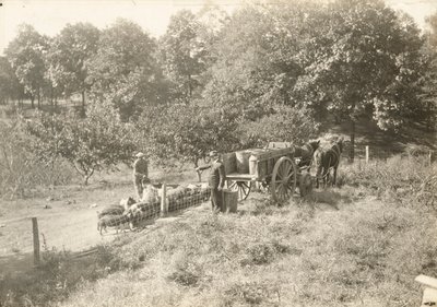 無題」1935年頃 作： Lewis Wickes Hine